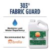 Picture of 30607 303 Products Inc. Water Repellent