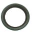 Picture of 182003 Sierra Marine Outboard Motor Oil Seal