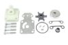 Picture of 183479 Sierra Marine Water Pump Kit