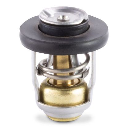 Picture of 183540 Sierra Marine Thermostat