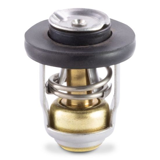 Picture of 183540 Sierra Marine Thermostat