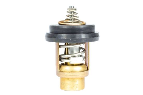 Picture of 183638 Sierra Marine Thermostat