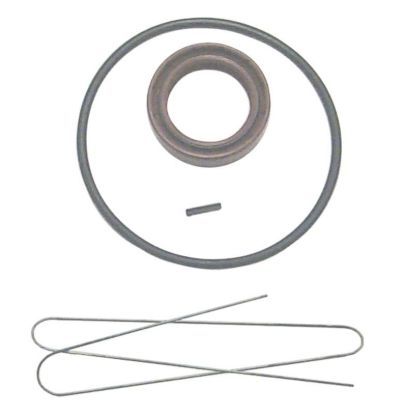Picture of 183893 Sierra Marine Marine Engine Gear Shift Gasket