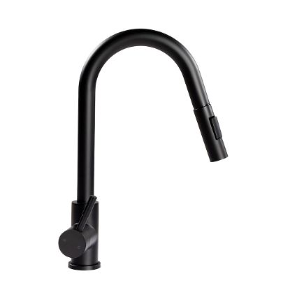 Picture of 2021090600 Lippert Components Faucet