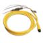 Picture of 101107900 Garmin Marine Network Cable