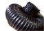 Picture of 164203000S Sierra Marine Bilge Vent Hose