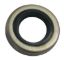 Picture of 182029 Sierra Marine Outboard Motor Oil Seal
