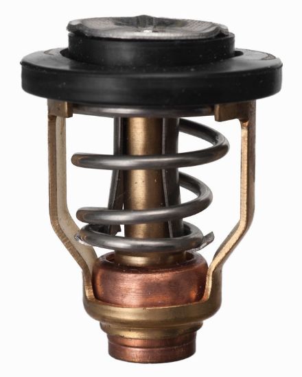 Picture of 183525 Sierra Marine Thermostat