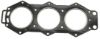 Picture of 183894 Sierra Marine Cylinder Head Gasket