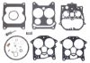 Picture of 187095 Sierra Marine Carburetor Rebuild Kit