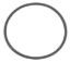 Picture of 187183 Sierra Marine Outboard Motor O-Ring