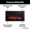 Picture of 2021123775 Furrion LLC Fireplace Insert