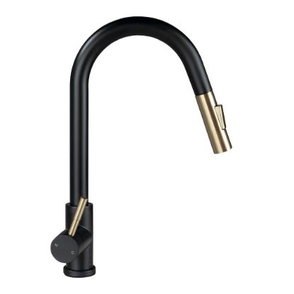 Picture of 2024000071 Lippert Components Faucet