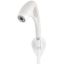 Picture of 25788 Oxygenics/ ETL Shower Head