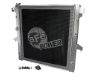 Picture of 4652061 Advanced FLOW Engineering Radiator