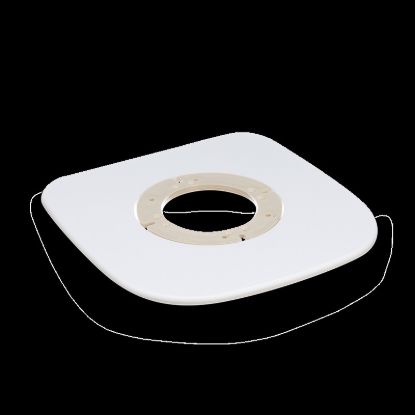 Picture of 385311719 Dometic Toilet Mounting Bolts