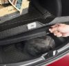 Picture of 3D Mats Cargo Area Liner, Part 1FR1491309 â€“ All-Weather Trunk Mat, Black