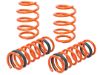Picture of 410302001N Advanced FLOW Engineering Lowering Kit