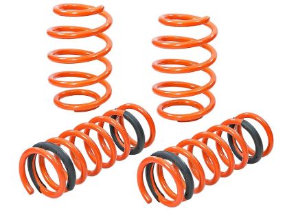 Picture of 410302001N Advanced FLOW Engineering Lowering Kit