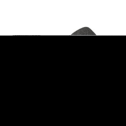 Picture of 9108677537 Dometic Awning Pull Strap