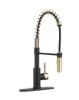 Picture of DFMK504SLK Dura Faucet Faucet