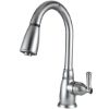 Picture of DFPK160SN Dura Faucet Faucet