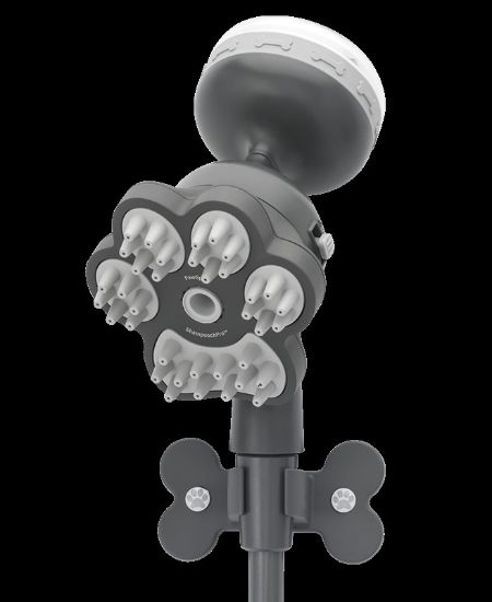 Picture of 78166 Oxygenics/ ETL Shower Head