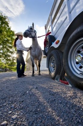 Picture of 84004000 Fastway Trailer Products Wheel Chock