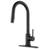Picture of DFNMK540MB Dura Faucet Faucet