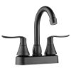 Picture of FPB155LHMB Dura Faucet Faucet
