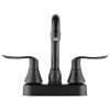 Picture of FPB155LHMB Dura Faucet Faucet