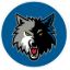 Picture of PowerDecal NBA (R) Series MN Timberwolves Powerdecal PWR94001 03-1758                                                        