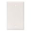 Picture of Cooper Wire Arrow Hart White Thermoplastic 1-Gang Receptacle Cover 2129W-BOX 19-3811                                         