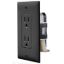 Picture of RV Designer  Black 125V Dual Receptacle S817 18-4982                                                                         